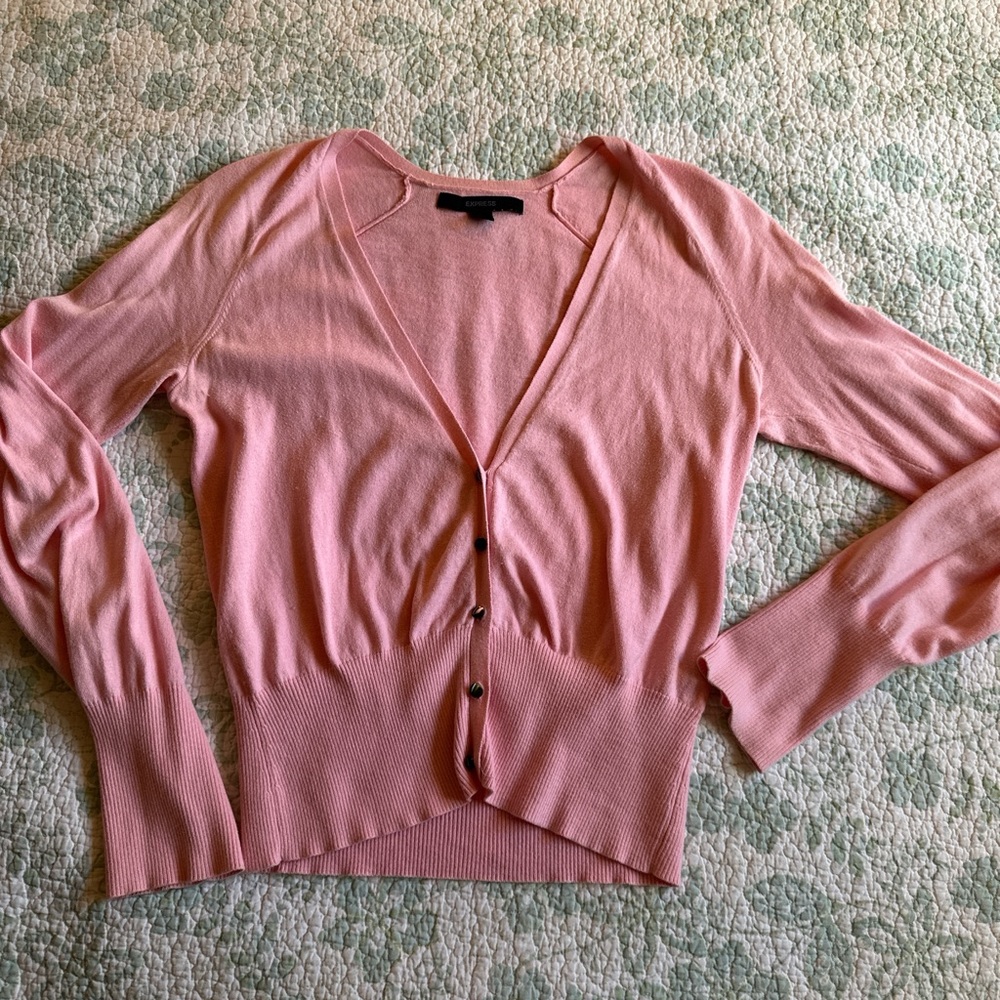 Express Soft Pink Knit Top